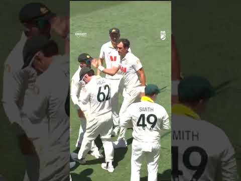 FIRST OVER AGAIN! Mitch Starc you genius  #Ashes