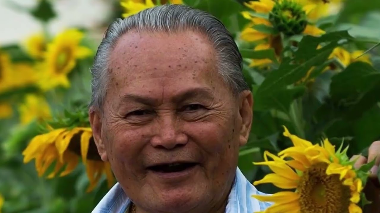 UPIB EDC BINHI Biodiversity Hub   Invertebrate Museum