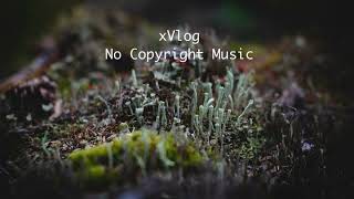 Somebody New (instrumental) - RYYZN | Vlog No Copyright Music