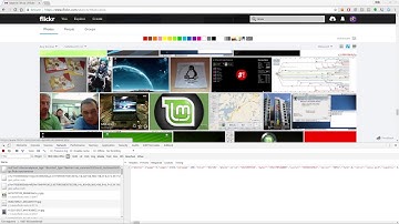 Scraping Flickr with cURL for Fun   Tutorial