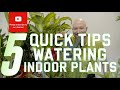 5 Quick tips on watering your indoor plants