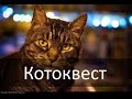 Ингресс часть 2, котики и четкие дворы