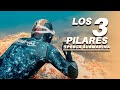 🔱PESCA SUBMARINA | SPEARFISHING. CALMA