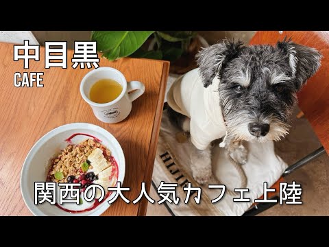 【中目黒カフェ】関西の人気カフェがついに東京上陸🚌✨オフィス併設オシャレカフェ☕️