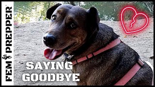 Saying Goodbye To My Best Friend