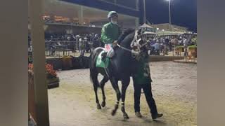 GREYSLAND  wins trail #9 for the texas classic futurity at lone star park (11-8-202)