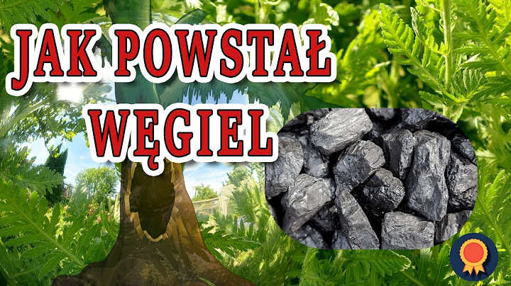 ⚒️ Jak powstał węgiel ⚒️ Filmy Edukacyjne z Barbarą