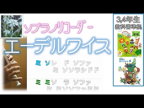 ハッピーバースデ トゥーユー キー6段階 歌いやすいキーでどうぞ Happy Birthday To You Mm Teacher Note