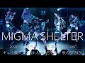 20201018 MIGMA SHELTER 新木場Coast ギュウ農フェス 秋のSP2020 n