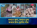 বাঁশের কঞ্চিতে সংসার, দুই হাজারে খাঁচা, আড়াই হাজারে কুলা | Bamboo Crafts | Rural Bangladesh | Rtv