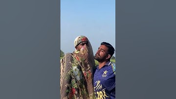 Technology 😂 funny video 😂😂 #shortsfeed #shorts #comedy #viralshorts #rajabfamily #rajabvlog #funny