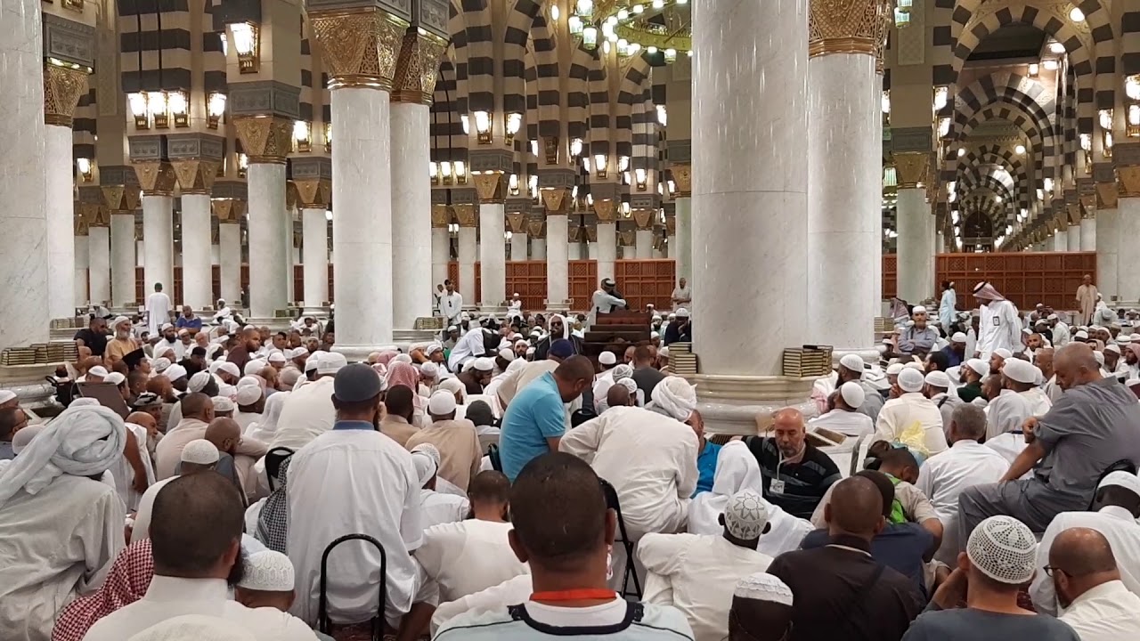 كلام الشيخ عبد المحسن  العباد وبيان فضل الألباني رحمه الله