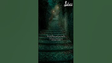 تلاوة نادرة للشيخ رعد الكردي