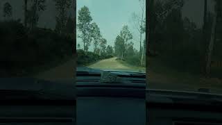 Dust, silence and road. - 4