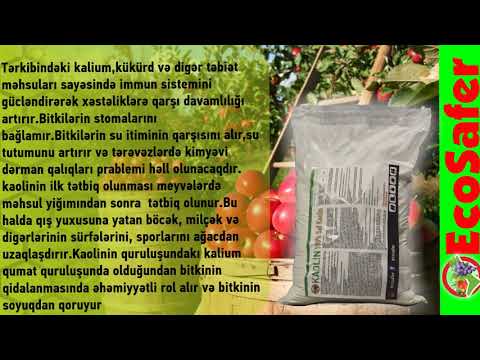 Video: Kaolin nə üçün istifadə olunur?