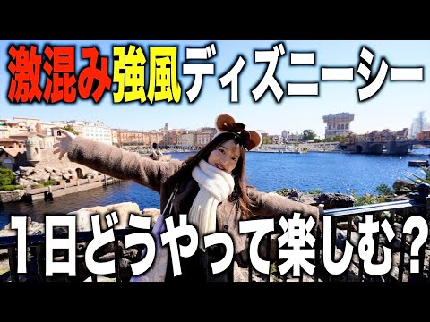 February 13, 2025] This is the reality of Tokyo DisneySea today