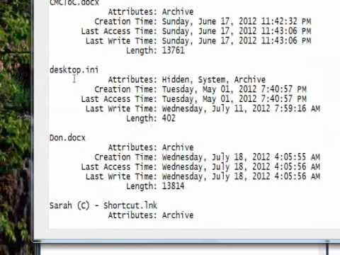 C# Edge 77 -  C# FileInfo File Statistics