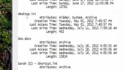 C# Edge 77 -  C# FileInfo File Statistics