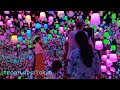 Planet of lights, Teamlabs, Tokyo. See it in full screen