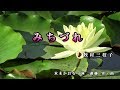 牧村三枝子【みちづれ】カラオケ