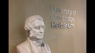 300 Years and a Million Dead Plants: a Virtual Tour of the Cambridge University Herbarium