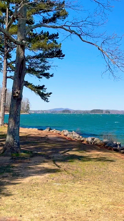 Lake Lanier, Van Pugh North Park, Georgia #ozarks #views #travel #shorts