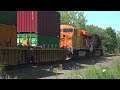 Orange CP Engine Meets NS Train! Tropicana Boxcar! Amtrak Train! Chasing A Big NS Train! 9 Trains!