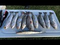 First trip fishing Flamingo in Everglades National Park - Backcountry (Trout and Redfish)