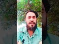 #viralvideo #bollywood #schoollife        Niraj Kumar Yadav Bhojpuri gana