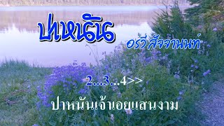 ♬ปาหนัน อรวี สัจจานนท์ #karaoke #คาราโอเกะ