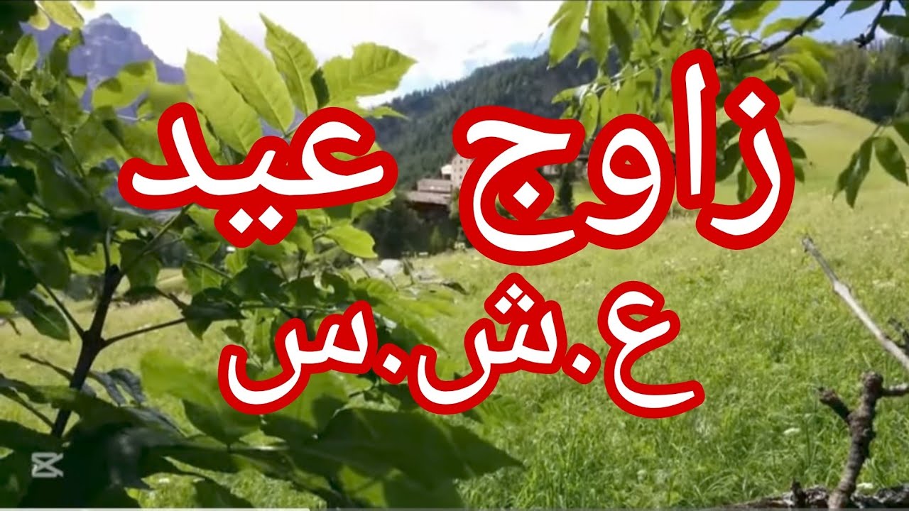 حكاية جليلة  .