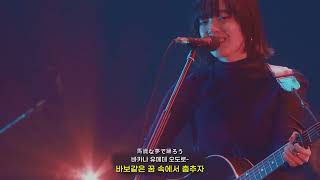 역대급 라이브🎸 아이묭 - 사랑을 전하고 싶다든가