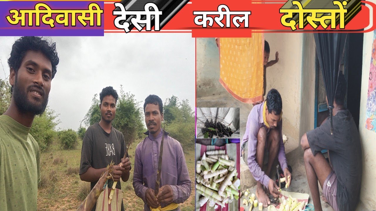 आदिवासी  देसी  करील दोस्तों CG