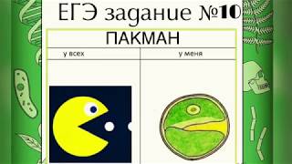 ЕГЭ. БИОЛОГИЯ. 10 задание, разбор ЕГЭ. БИОЛОГИЯ. 10 задание, разбор