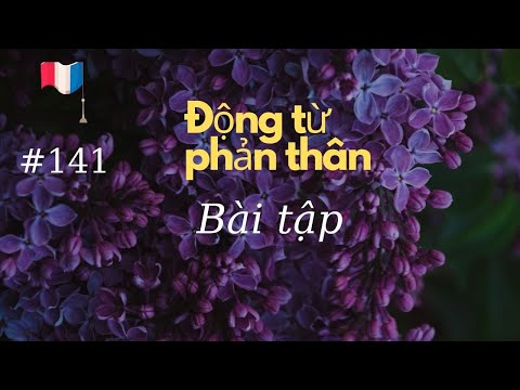 Video # 141 - động từ phản thân - Bài tập - youtube