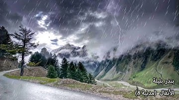 سورة الأنفال (8) بندر بليلة