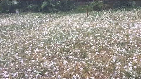 Hagel in Makkinga, Niederlande | Hagel en onweer in Makkinga