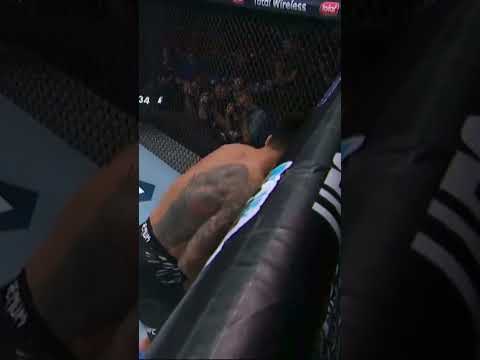 🥶YOO JOO-SANG 🥶UFC 316 KO #ufc #ufc316 #ko #mma
