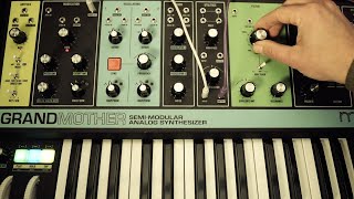 Moog Grandmother is BAD ASS!!