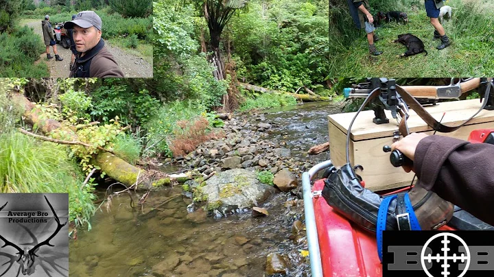 Pig Hunting NZ. Last Pig Hunt of 2022!!