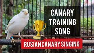 The best canary training song in the morning! Russian canary singing