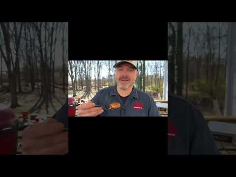 Sweet Meets Heat With Our Sweet Heat Seasoning