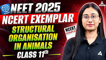 Structural Organisation in Animals Class 11 Questions | NEET 2025 | NCERT Exemplar | Bharti Singh