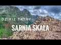 Wycieczka przyrodnicza: Dolina Białego - Sarnia Skala - Dolina Strążyska