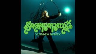 Diogo Strausz - Flight Of Sagittarius (Yuksek Remix)
