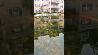 Would You Retire Here?