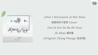 What I Anticipate Is Not Snow 我期待的不是雪 Cover (Wo Qi Dai De Bu Shi Xue) - Qi Ahao 戚阿豪 [lyrics]