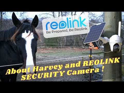 ผลสลากกินแบ่งรัฐบาล วันที่ 1 พย. 2567