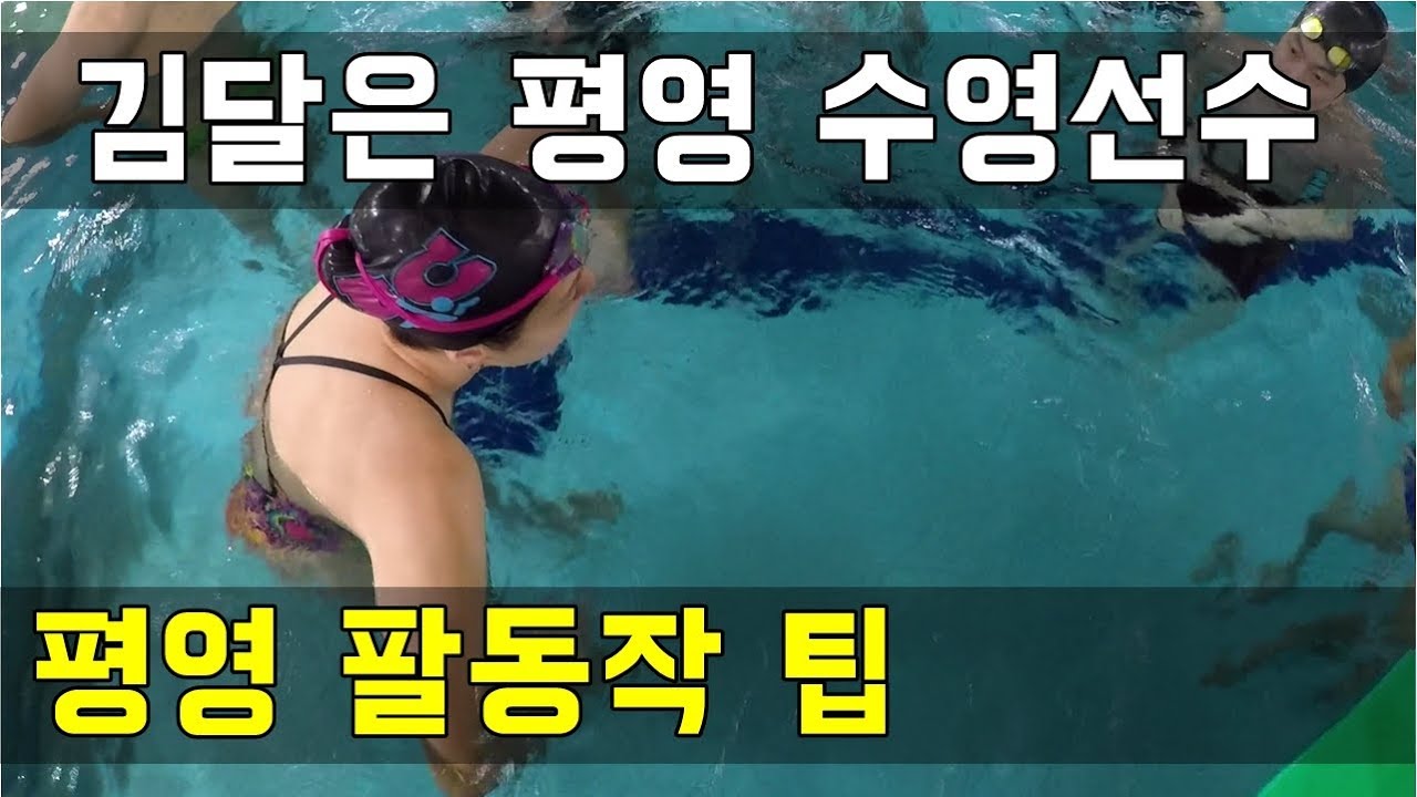 SHC 수영 강좌_국가대표 김달은 선수 평영 팔동작 제대로 배우기