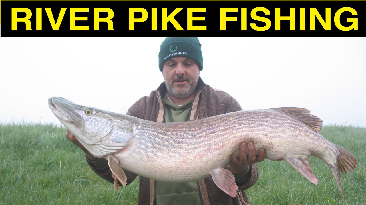 River Pike Fishing Part 1 YouTube